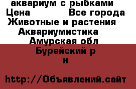 аквариум с рыбками › Цена ­ 1 000 - Все города Животные и растения » Аквариумистика   . Амурская обл.,Бурейский р-н